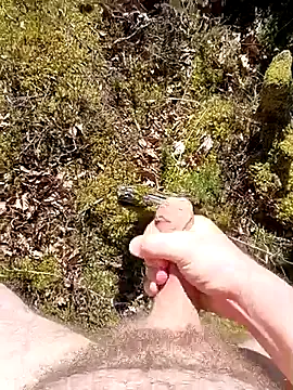 Tj1senn Webbikameraesitys