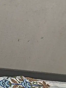 Telugumistress: διαδικτυακό σόου στην κάμερα