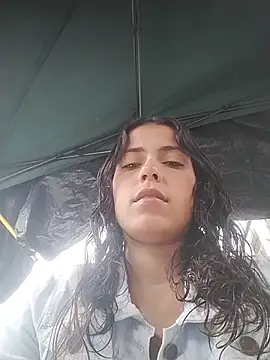 wet_vikan Webbikameraesitys