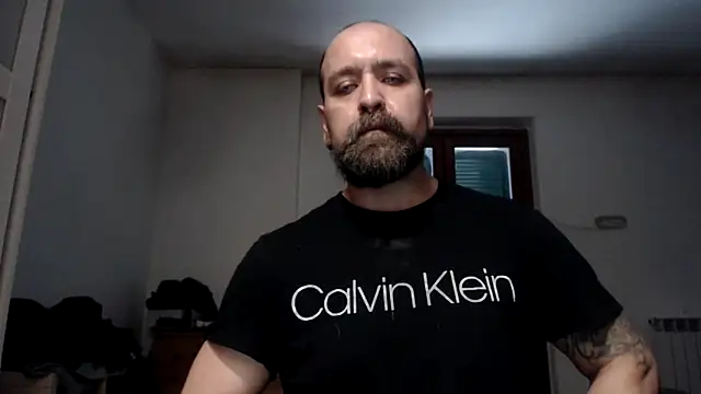 Show webcam de AMIRDIB2025