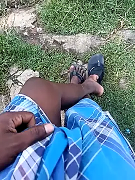 dolphiinn Show in webcam