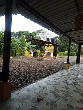 Pokazy przed kamerką – Abel-09x