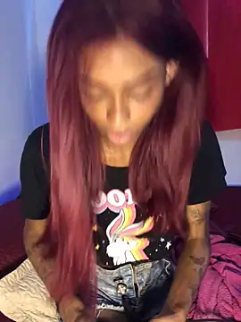 viczinaofcn Webbikameraesitys