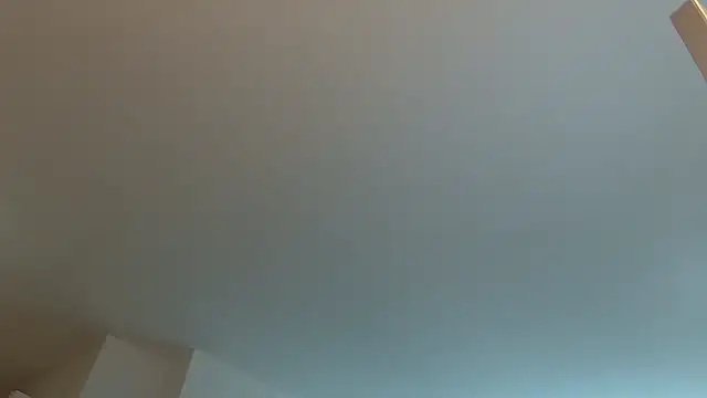 Show Webcam de theblacklordmaster