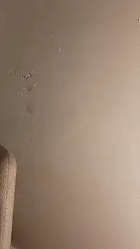 AllLeggs: онлайн-секс-чат