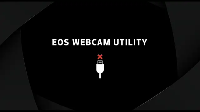 VibestCouple: вебкам-шоу