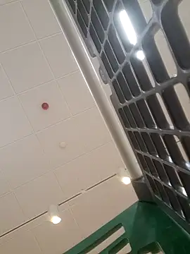 delfi6 Chat XXX in diretta