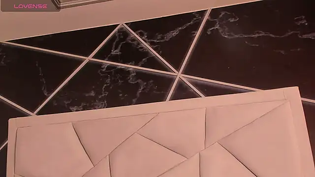 AerumChae 웹캠 쇼