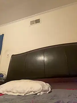 ThickDic28 Show in webcam