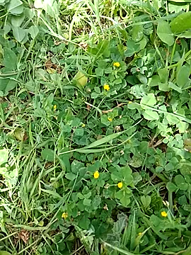 eroer20 在線直播表演