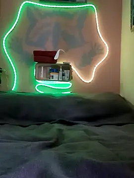 Show modela PayForMuse na web-kameri