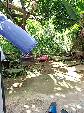 venusandzeus@xh Show in webcam