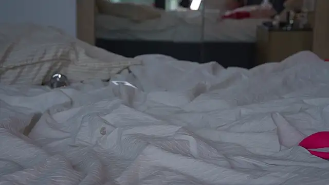 ibiddi – Kamerová šou