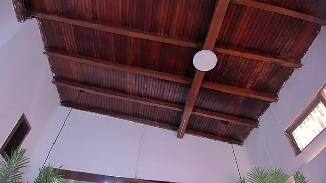 emily-fox 웹캠 쇼