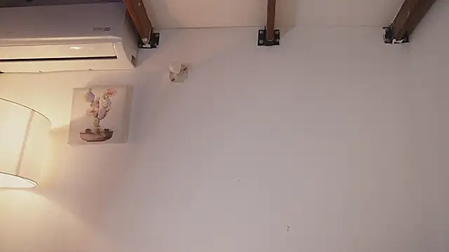 bunnycuteshy: онлайн-секс-чат