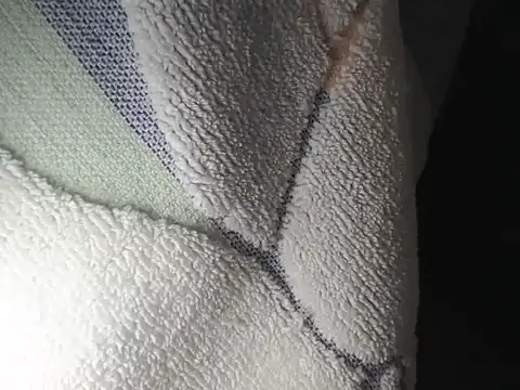 IMAGatMARKのウェブカメラショー