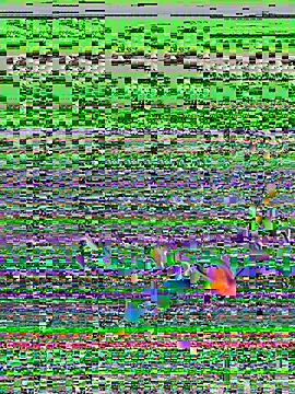 دردشة crezyfuck63 الجنسية المباشرة