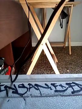 Dunkas69 Pertunjukan Webcam