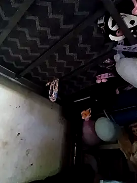 Rayito6969@xh Webcam show