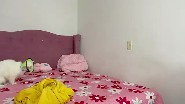 Andy_Belier23 – Kamerová šou