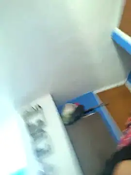 Peituda_safada's Webcam Show