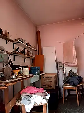 Show de Dietosca na webcam