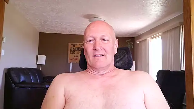 BasicAnt 网络视讯表演