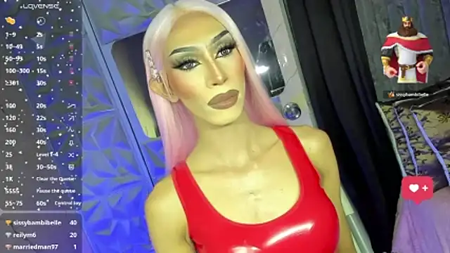 anitacruise 웹캠 쇼