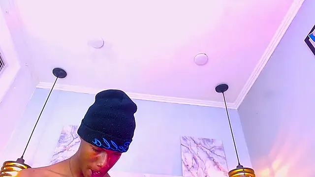 Santiago_Ortiz_n Webbikameraesitys