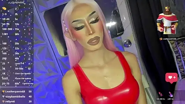 عرض كام anitacruise