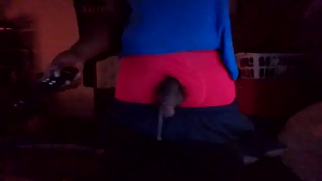 _PoetryInMotionPic_ ওয়েবক্যাম শো