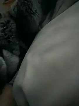 Furdale 网络视讯表演