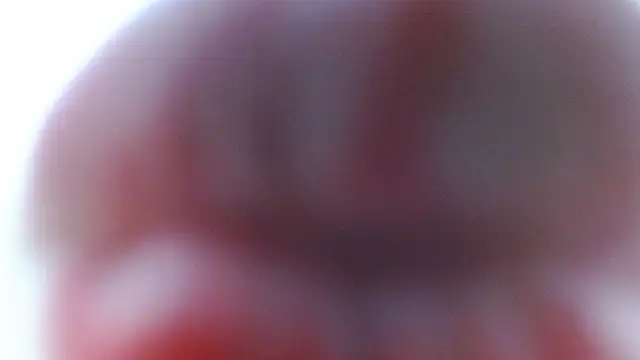 Thalian 现场XXX聊天