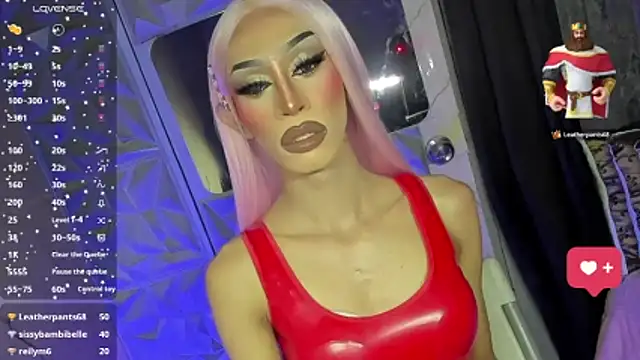 anitacruise 웹캠 쇼