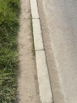 TavoHot_: απευθείας συνομιλία ΧΧΧ