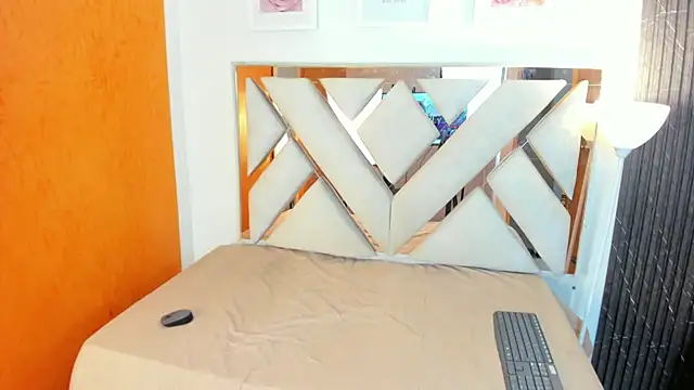 Alantaylorr_n Webbikameraesitys