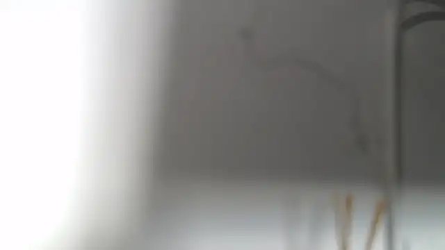 cristaljuicy live XXX chat