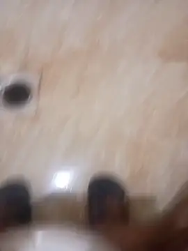 عرض كام Stallionbull37