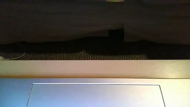 Show modela Boddman na web-kameri