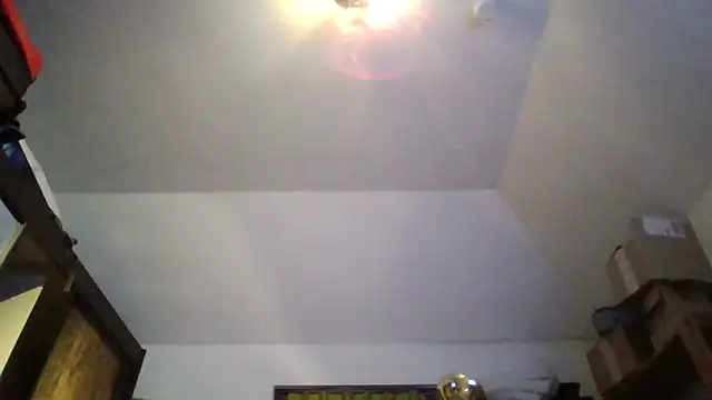 Vandrino Pertunjukan Webcam