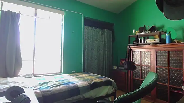 Show Webcam de _______the