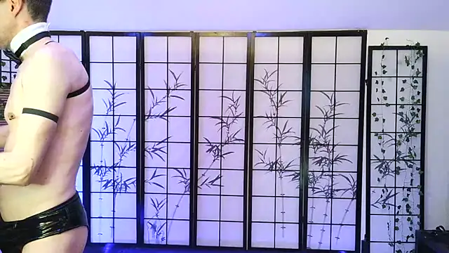 thehornybowtie 在線直播表演