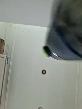 عرض كام Pablinchot