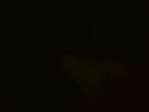 MakeMeCumAhh 라이브 XXX 채팅