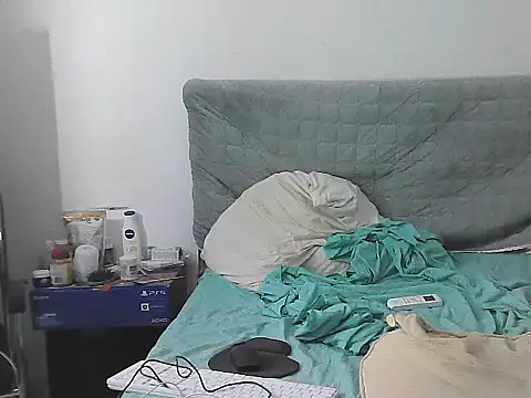 Show webcam de IronSideBear