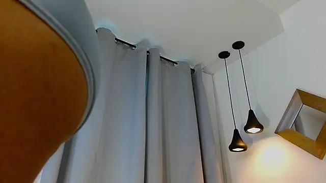 HarryFosstern Webbikameraesitys