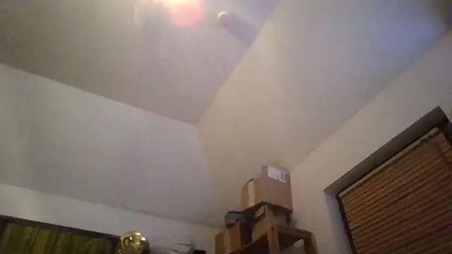 Vandrino live XXX chat