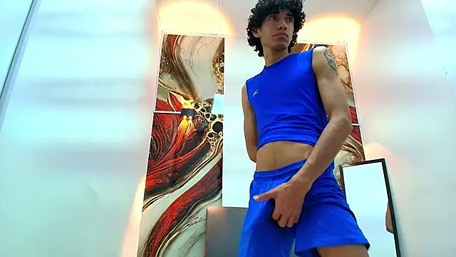 Show webcam de simondwayne