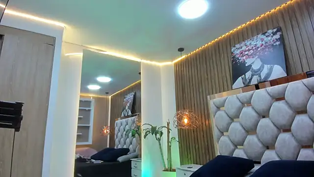 denis_winslown Webbikameraesitys