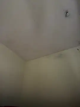 arabayla Obrolan Langsung XXX